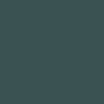 Pet Vario 58A MAT Tropic Green (δύο όψεων)