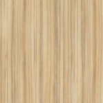 8995 Coco Bolo