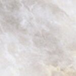 DP8506