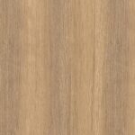 H1142-ST36
