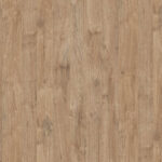 K361 Gold Harbor Oak